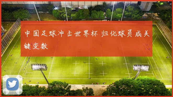 中国足球冲击世界杯 归化球员成关键变数