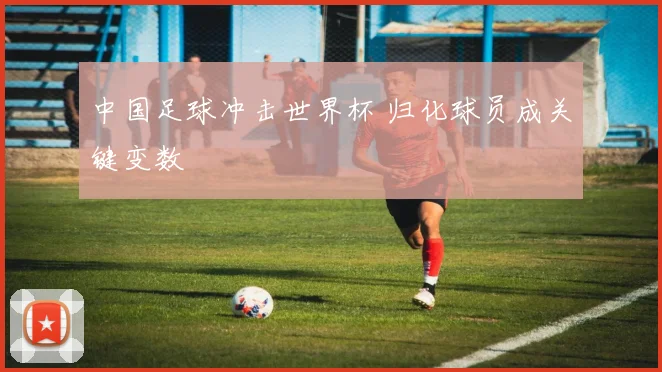 中国足球冲击世界杯 归化球员成关键变数