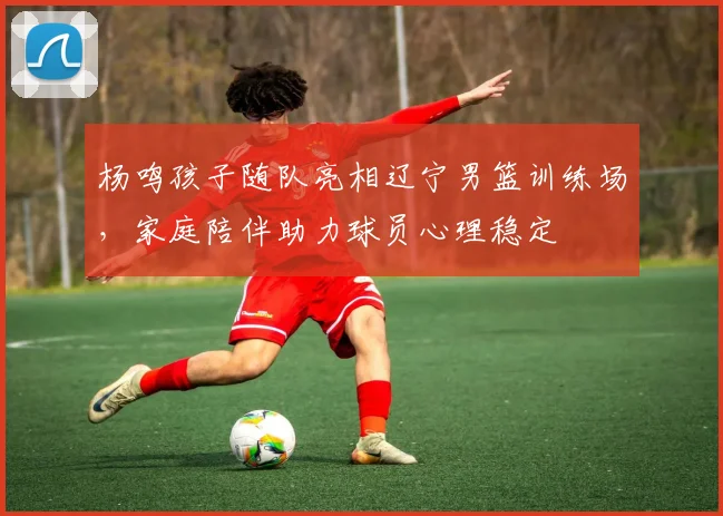 杨鸣孩子随队亮相辽宁男篮训练场，家庭陪伴助力球员心理稳定